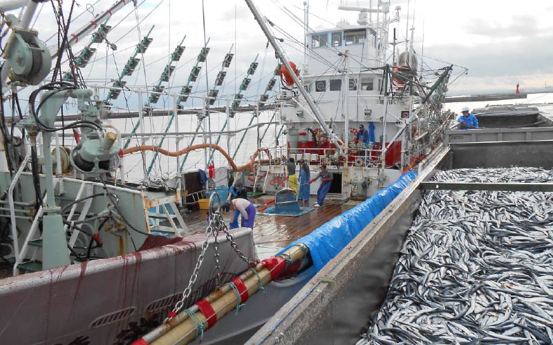 サンマ棒受け網