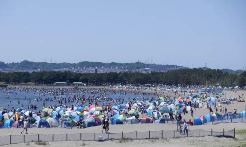 海に人が集まって潮干狩りをしている様子