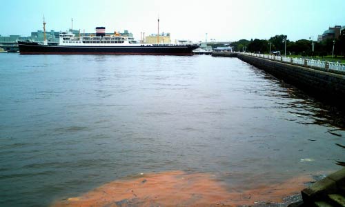 山下公園の赤潮