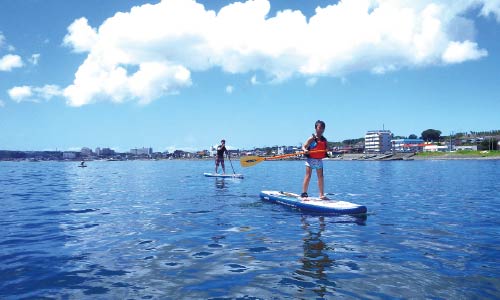 穏やかな海でSUPを楽しむ人々